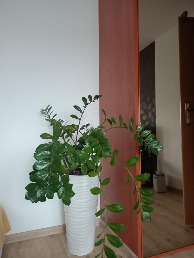 Pomaranczowa Apartment Szczecin Ngoại thất bức ảnh